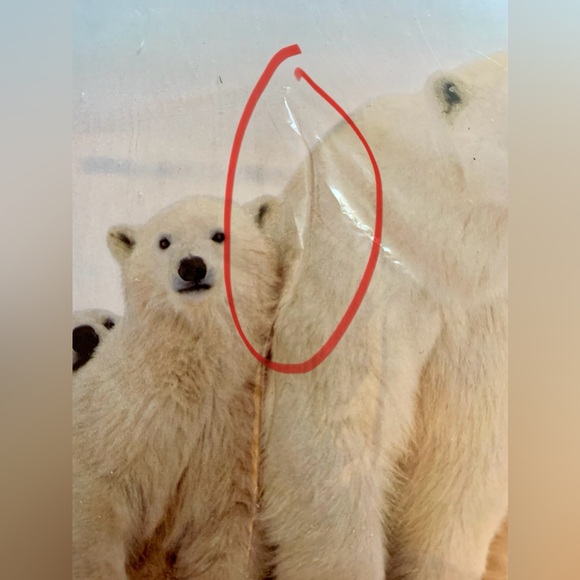 ⭐️BOGO//14-pack Polar Bear Christmas Cards - Picture 7 of 9